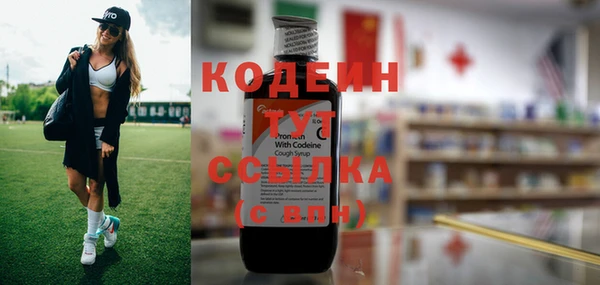 прущие грибы Инсар