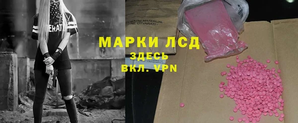прущие грибы Инсар