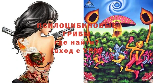 прущие грибы Иннополис