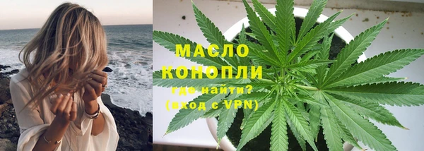 соль ск Каменка