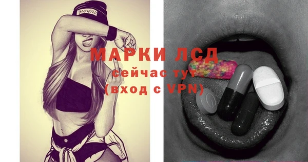 прущие грибы Иннополис