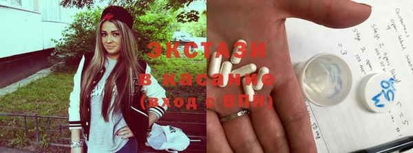 прущие грибы Инсар